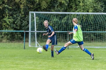 Bild 313 - B-Juniorinnen VfL Pinneberg - HSV : Ergebnis: 1:4